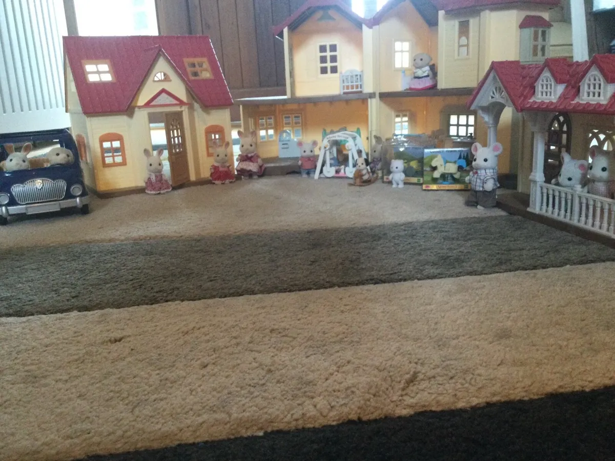 Sylvanian family collection - Image 4