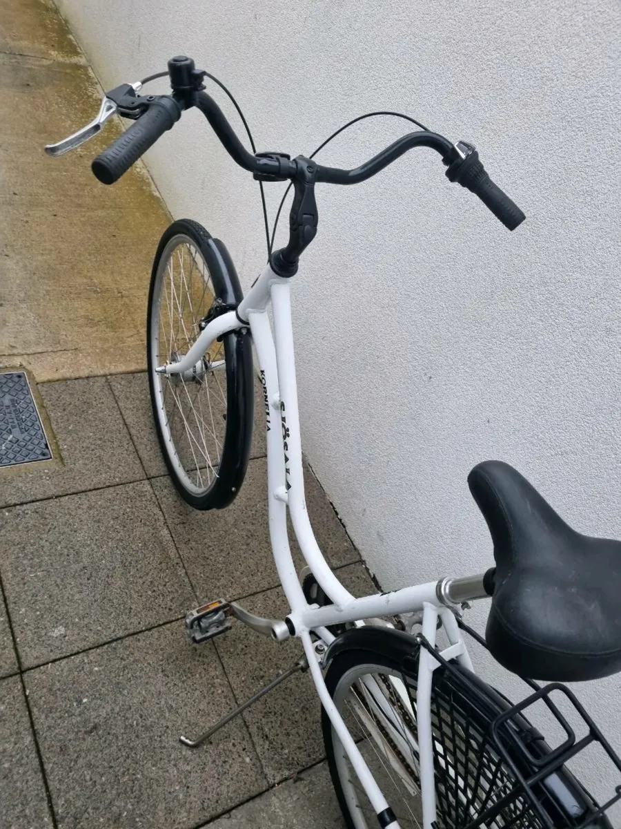 Bicycle for womens - Image 4