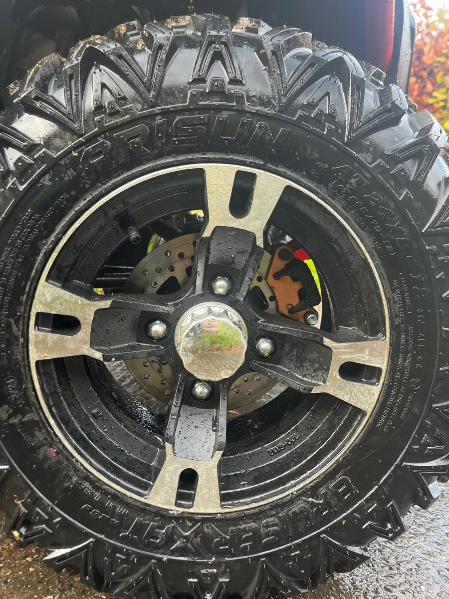 2025 250cc Farm Quad - Image 2