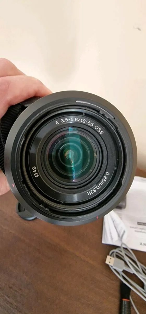 Sony Alpha 3D and standard digital camera - Image 2