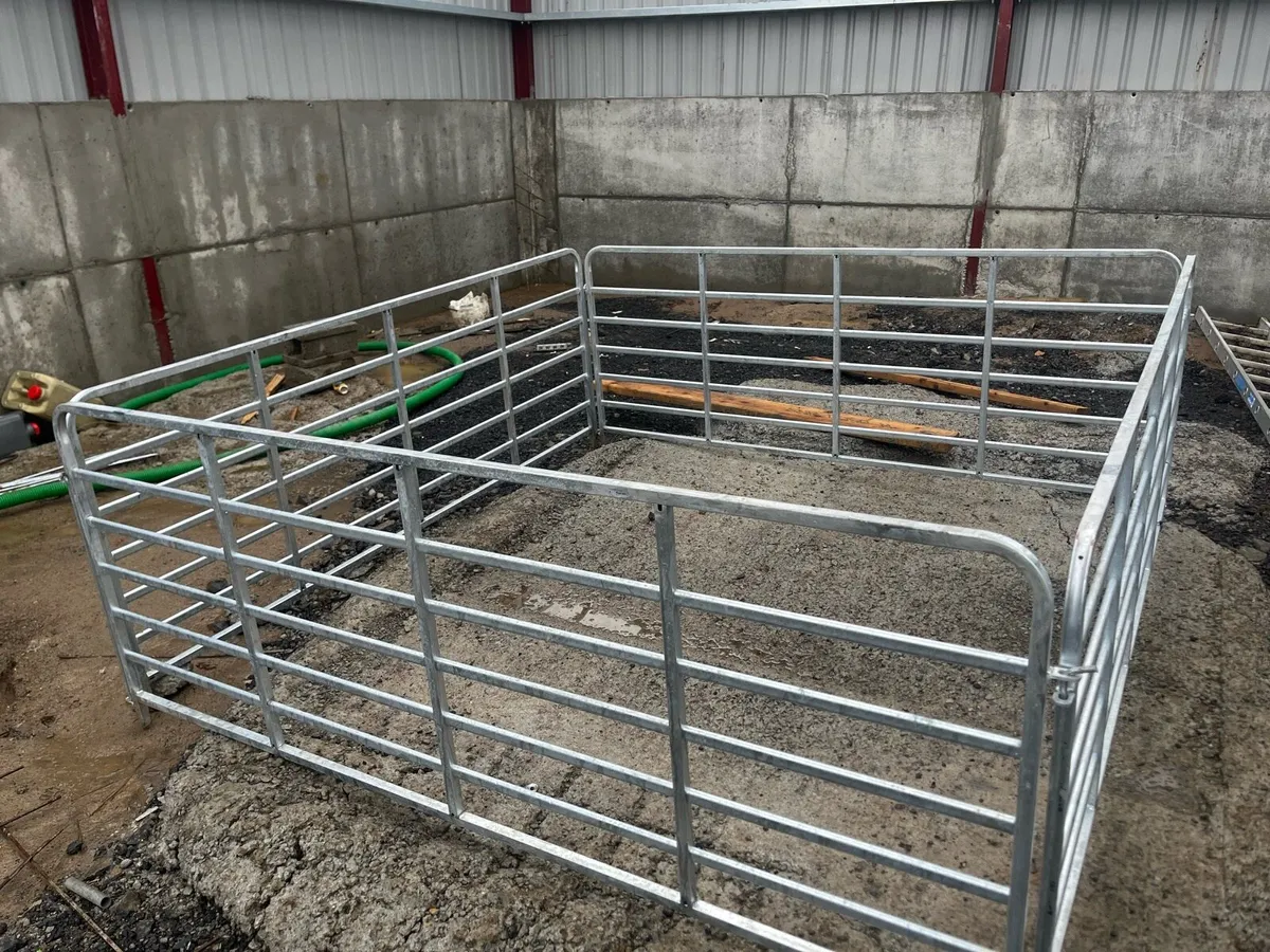 Heavy duty Calf/Sheep hurdles 5ft and 8ft - Image 2