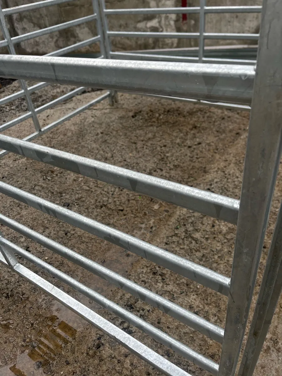 Heavy duty Calf/Sheep hurdles 5ft and 8ft - Image 3