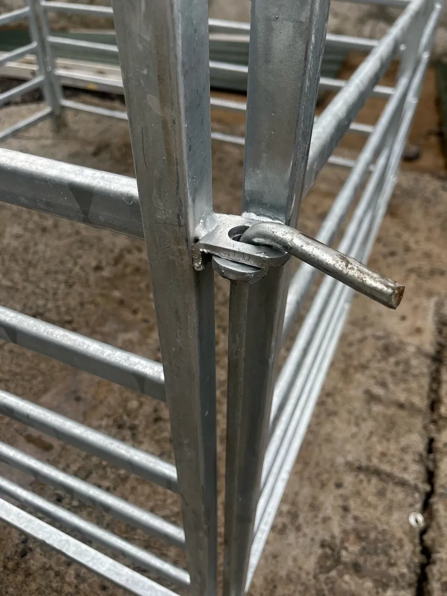 Heavy duty Calf/Sheep hurdles 5ft and 8ft - Image 4