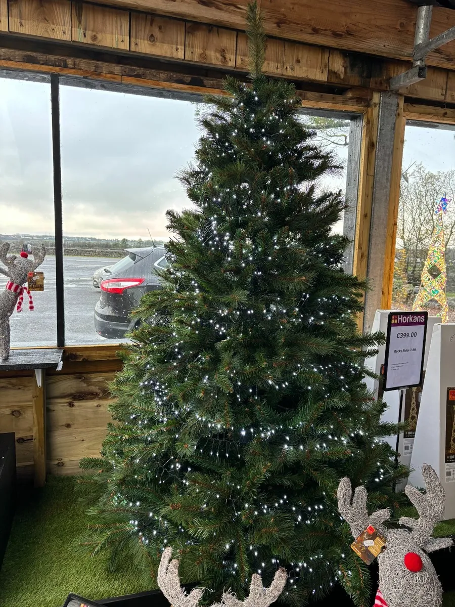 Christmas Tree 'Feel Real' - Image 2