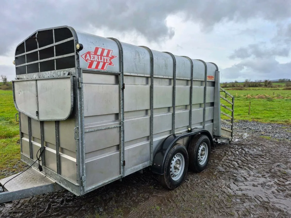 Murphy Cattle Trailer - Image 1