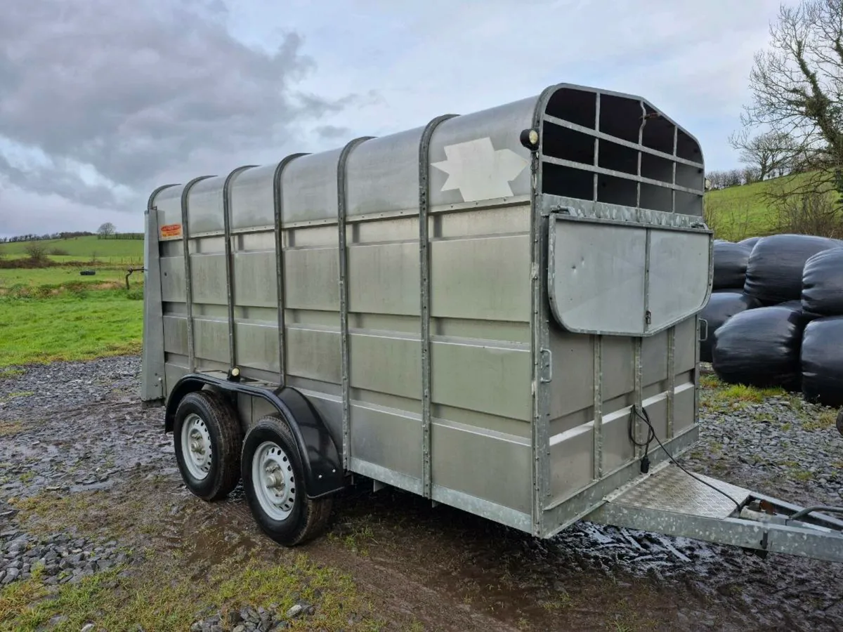 Murphy Cattle Trailer - Image 2