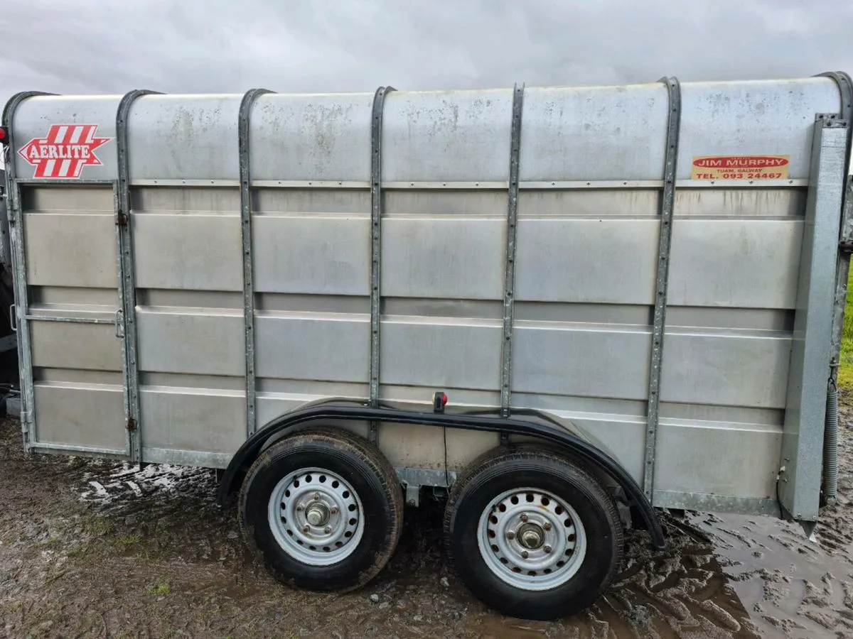 Murphy Cattle Trailer - Image 3