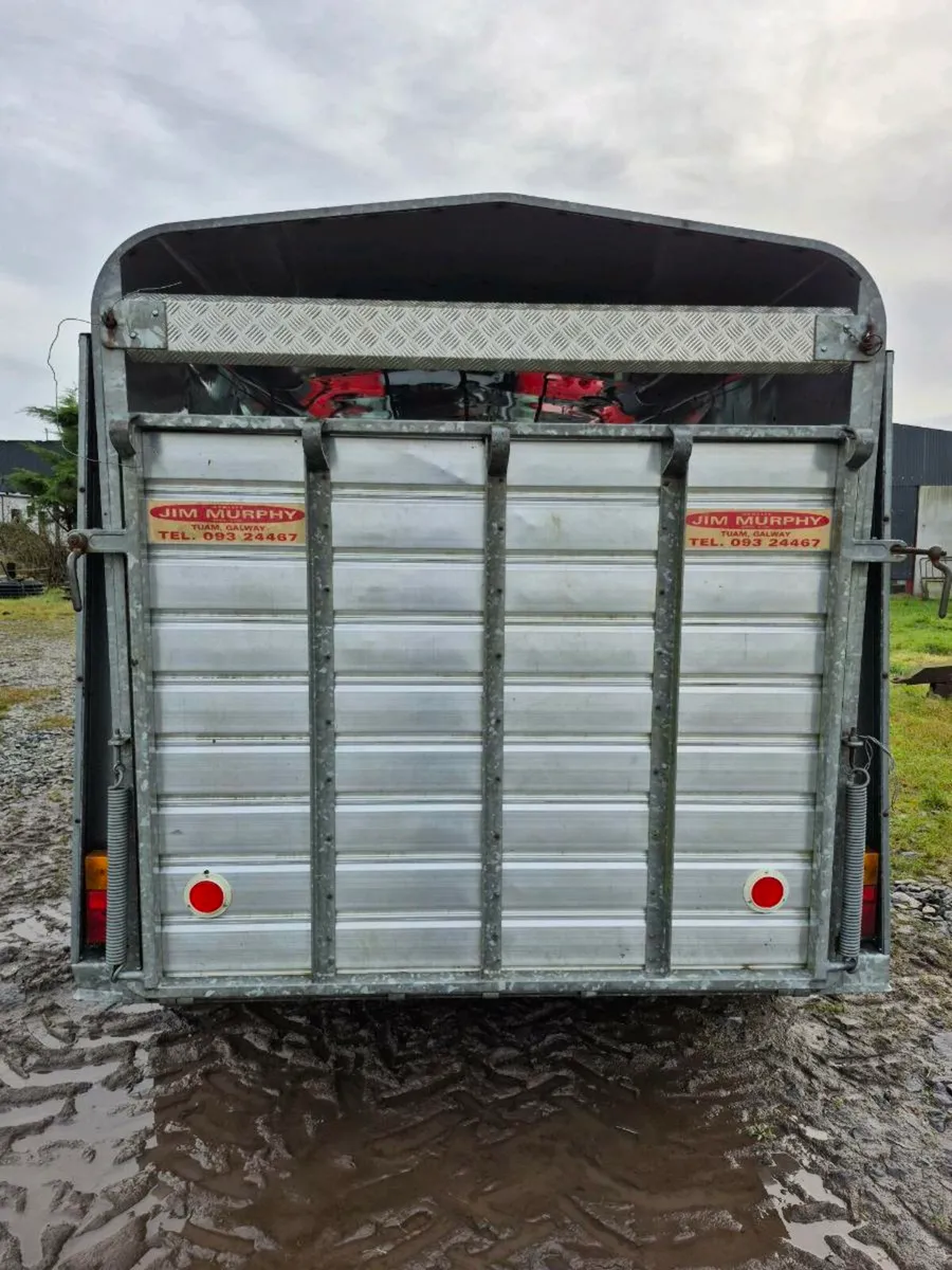 Murphy Cattle Trailer - Image 4