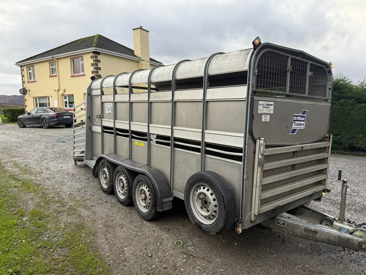Ifor Williams 14ft with decks - Image 1