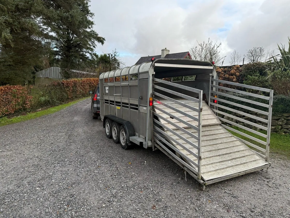 Ifor Williams 14ft with decks - Image 2