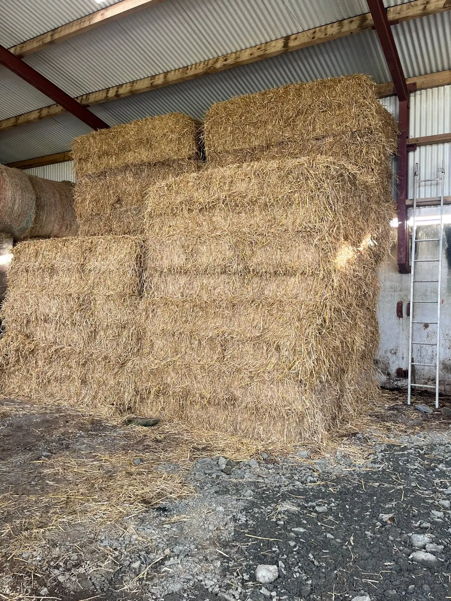 Straw - Image 1