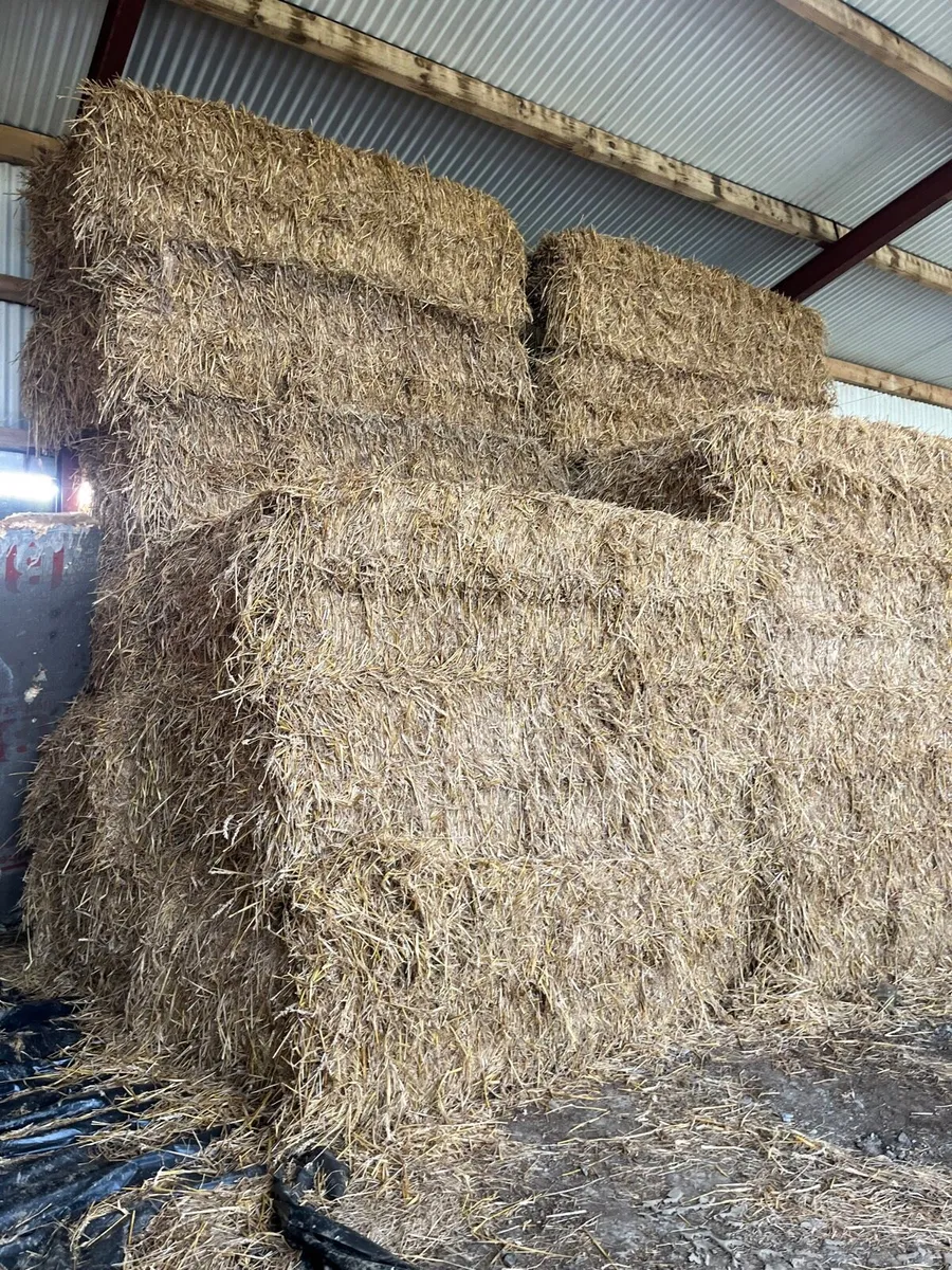 Straw - Image 2