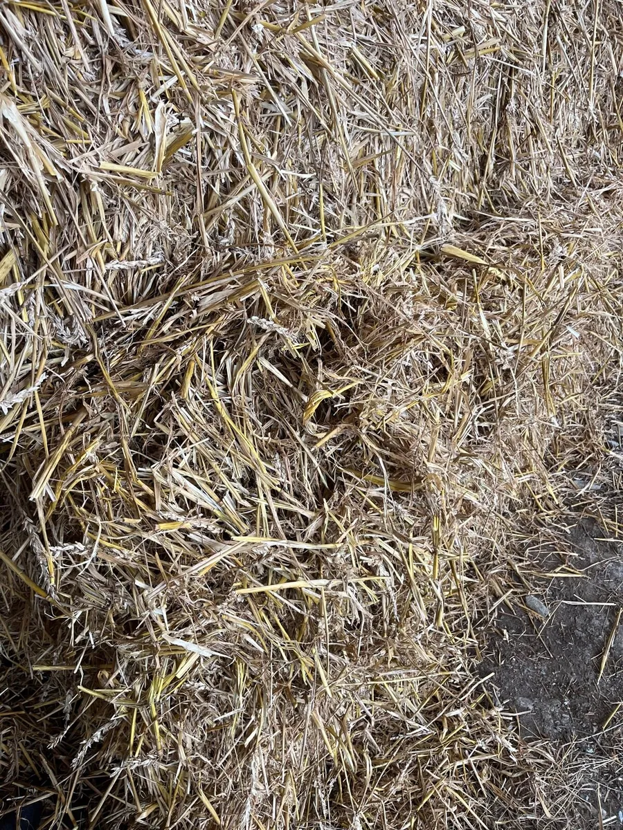 Straw - Image 3