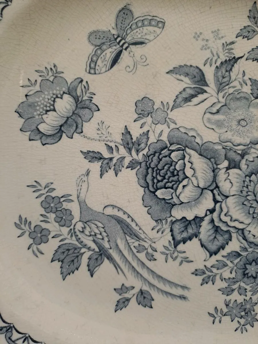 Antique Mason's serving platter - Image 3