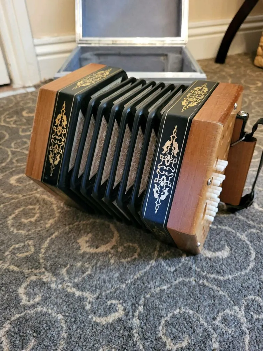 Concertina - Image 1