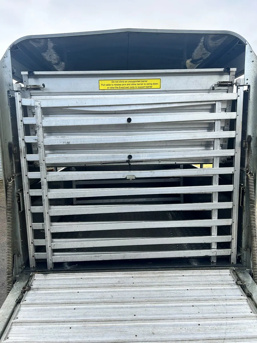 Iforwilliams Trailer - Image 3