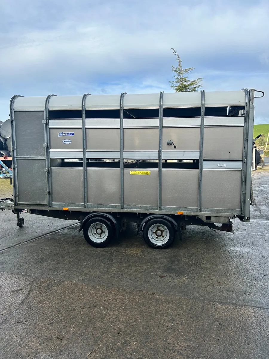 Iforwilliams Trailer - Image 2