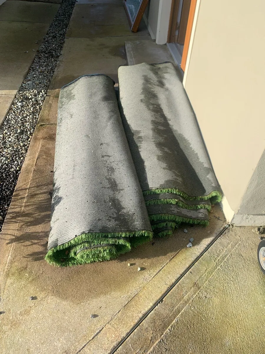 Gym/Lawn Astroturf Grass