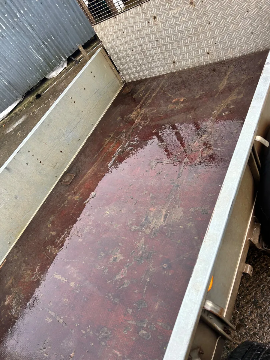 Iforwilliams Trailer - Image 2