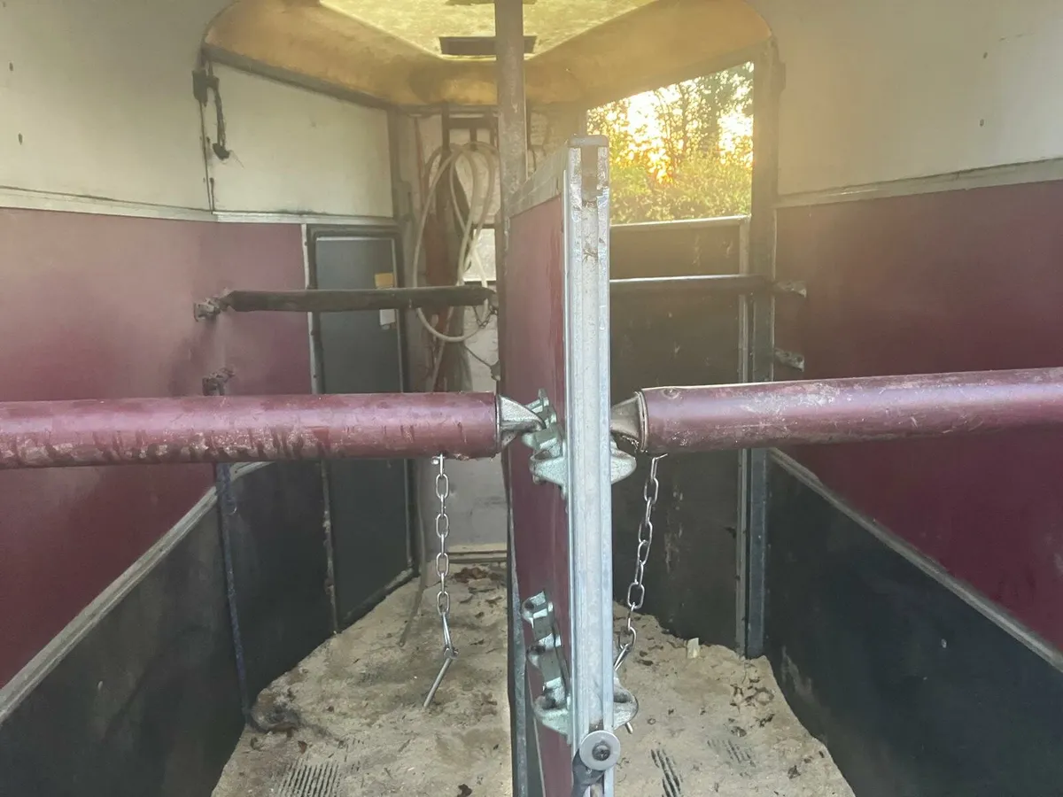 Ivor Williams 505 Horse Box - Image 3