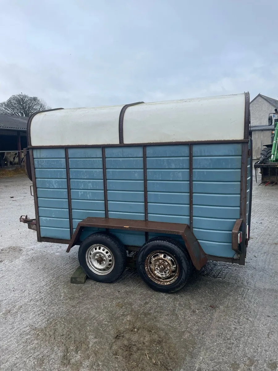 Cow box 8x4”6 - Image 1