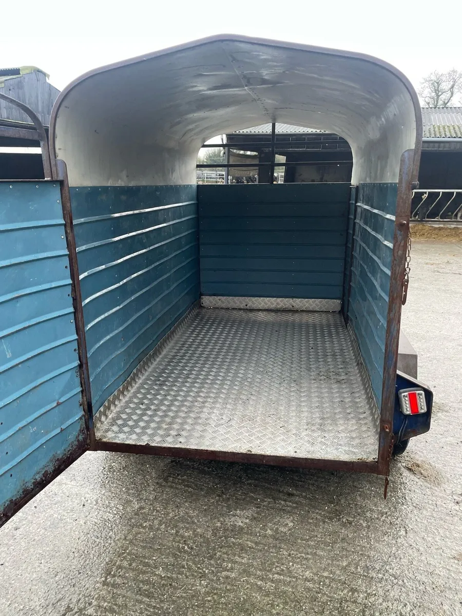 Cow box 8x4”6 - Image 2