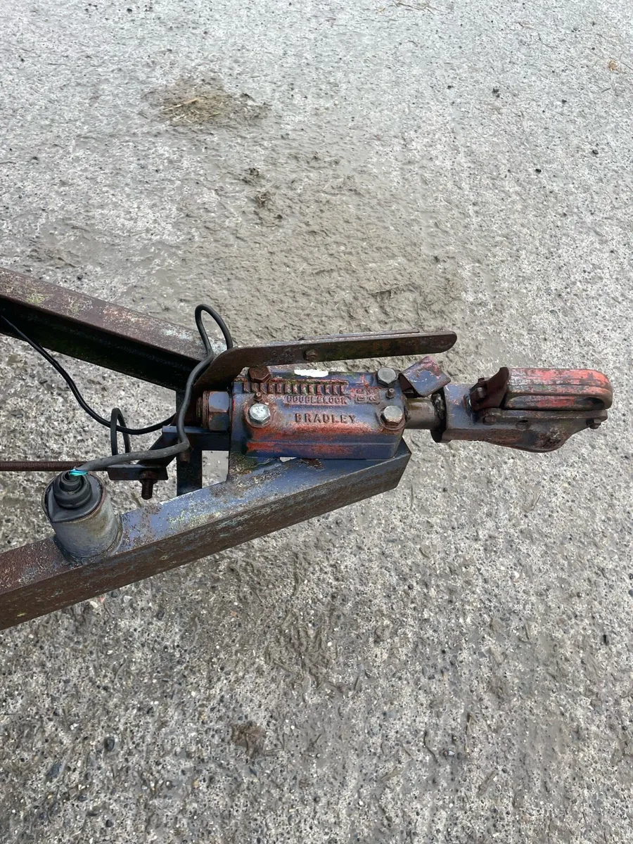 Cow box 8x4”6 - Image 3