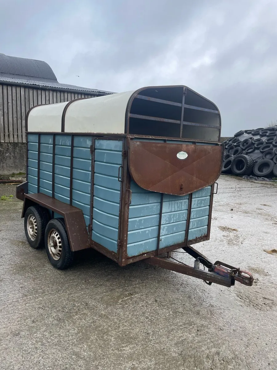 Cow box 8x4”6 - Image 4