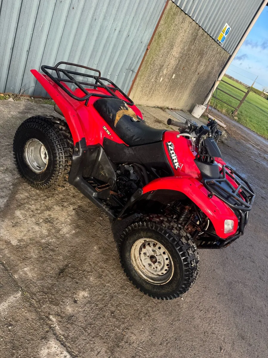 Suzuki ozark 250 - Image 2