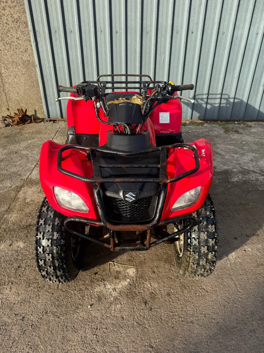 Suzuki ozark 250 - Image 3