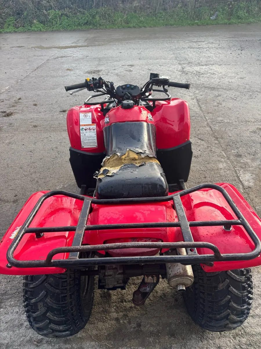 Suzuki ozark 250 - Image 4