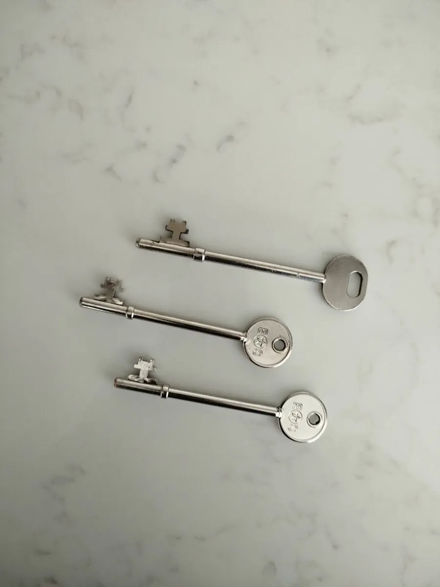 Side Gate (Free to collect) - Image 3