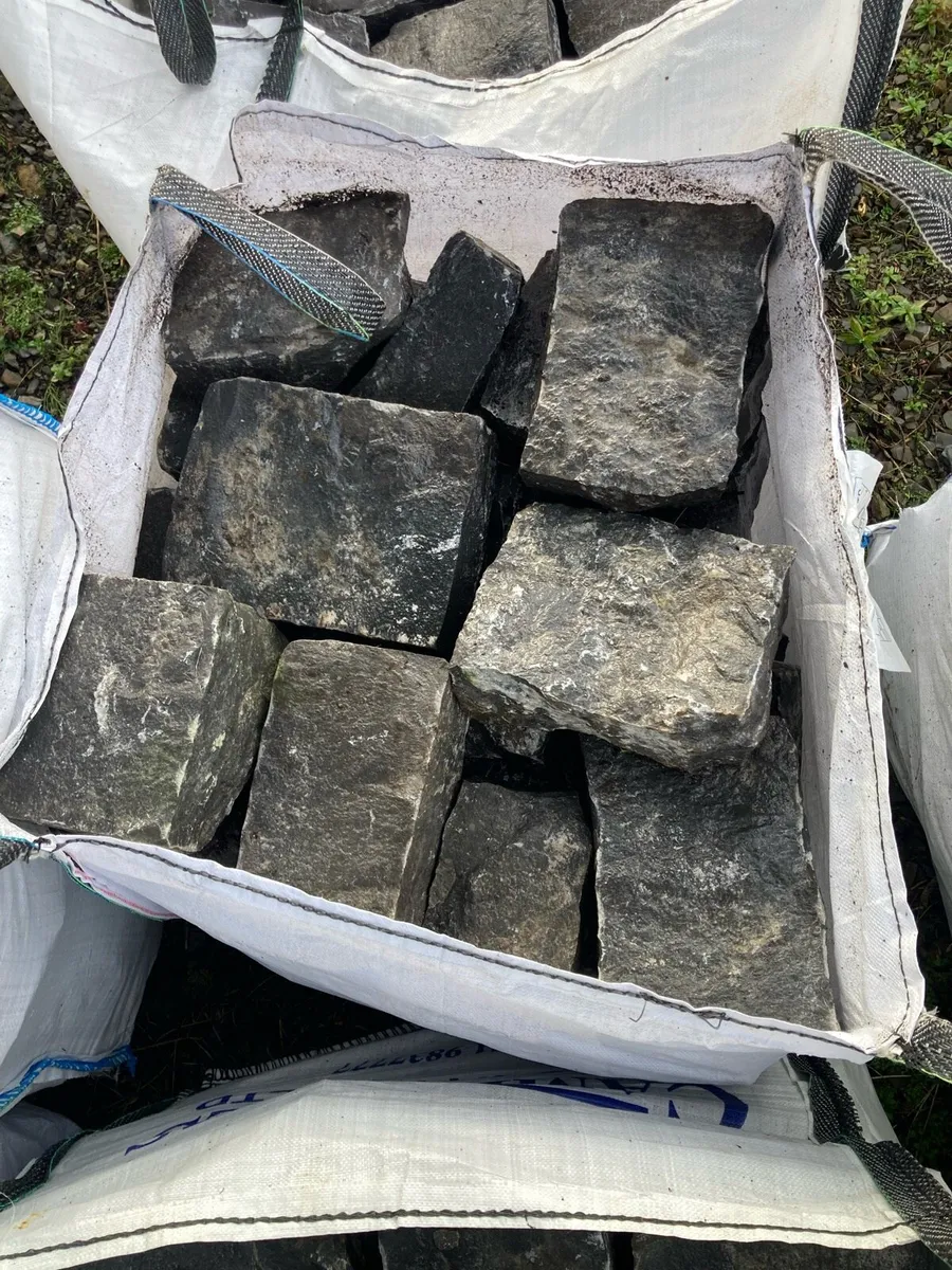 Roscommon limestone - Image 3