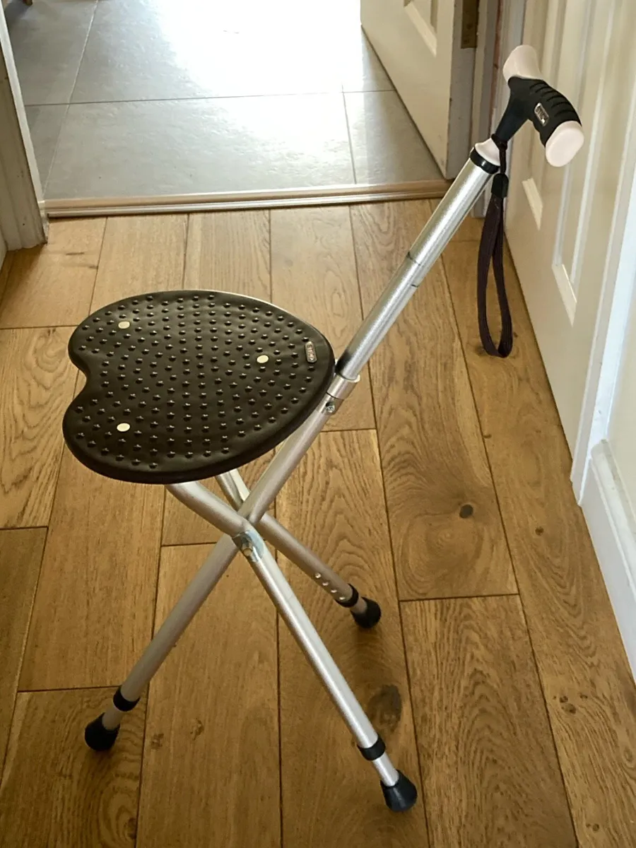 Walking stick with seat - Image 1