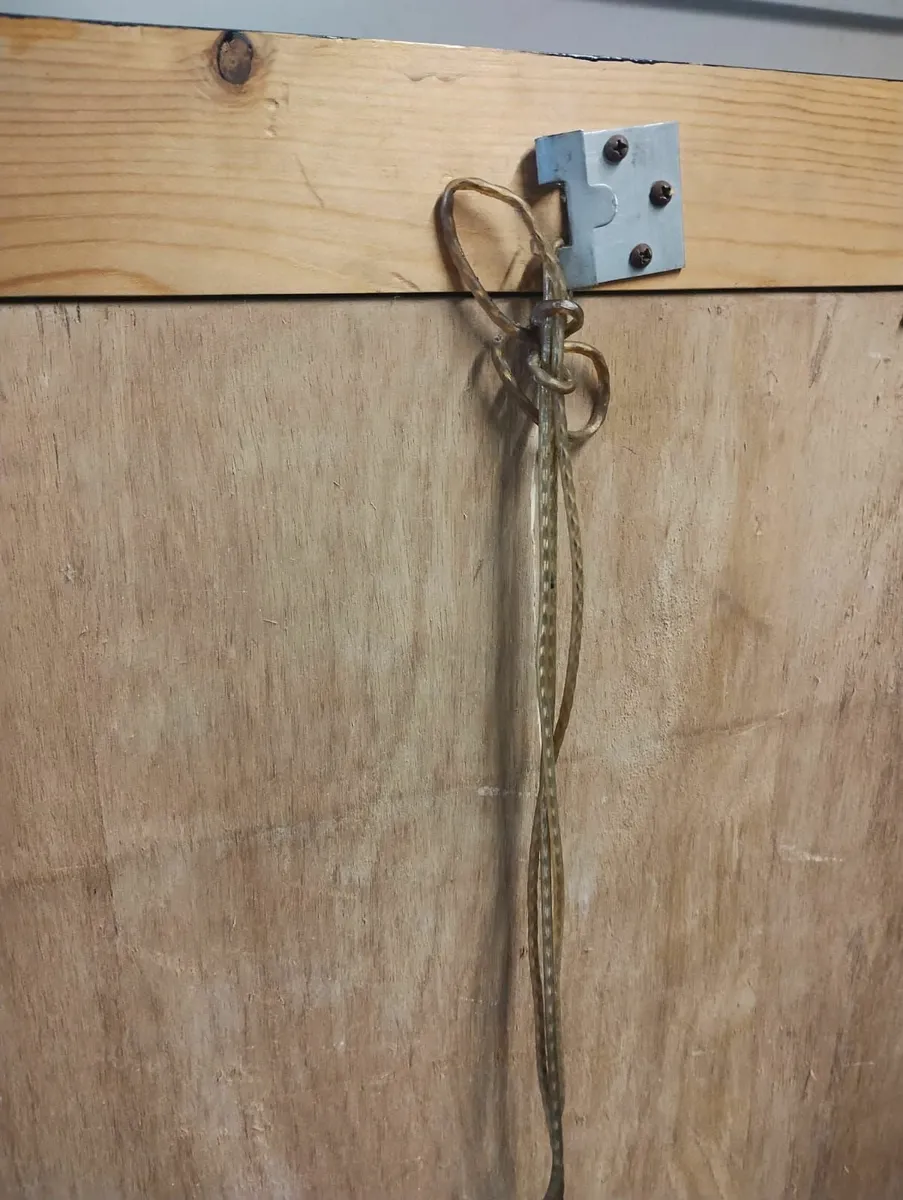 Extreme Rarity: Storm Thorgerson's "Back Catalogue - Image 4