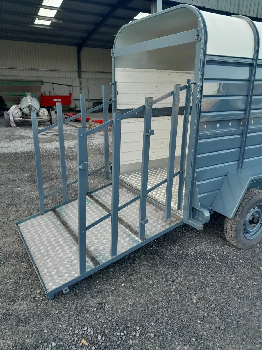 Delaney Cow Box/Cattle Trailer - Image 3