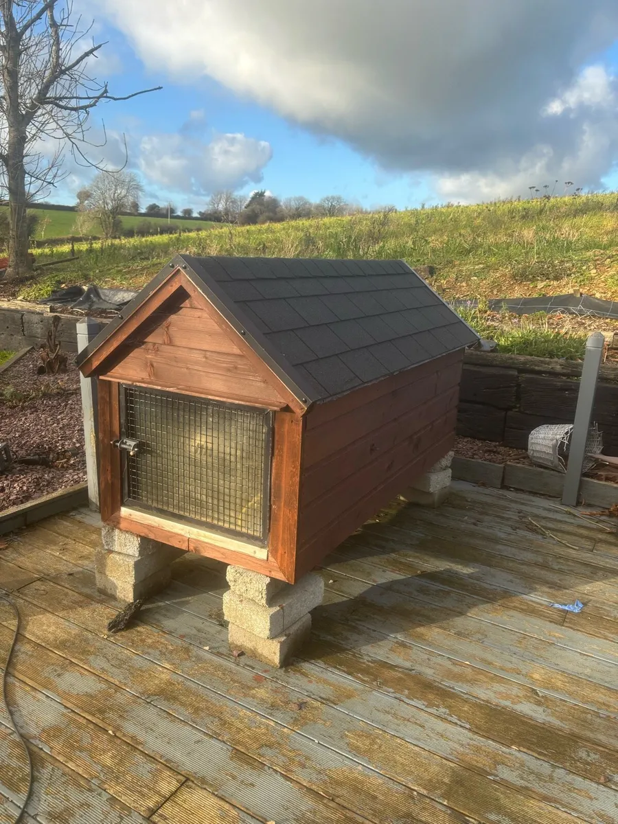 Insulated Dog House - Image 1