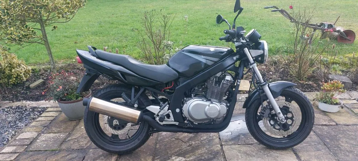 SUZUKI GS 500  2005 - Image 1