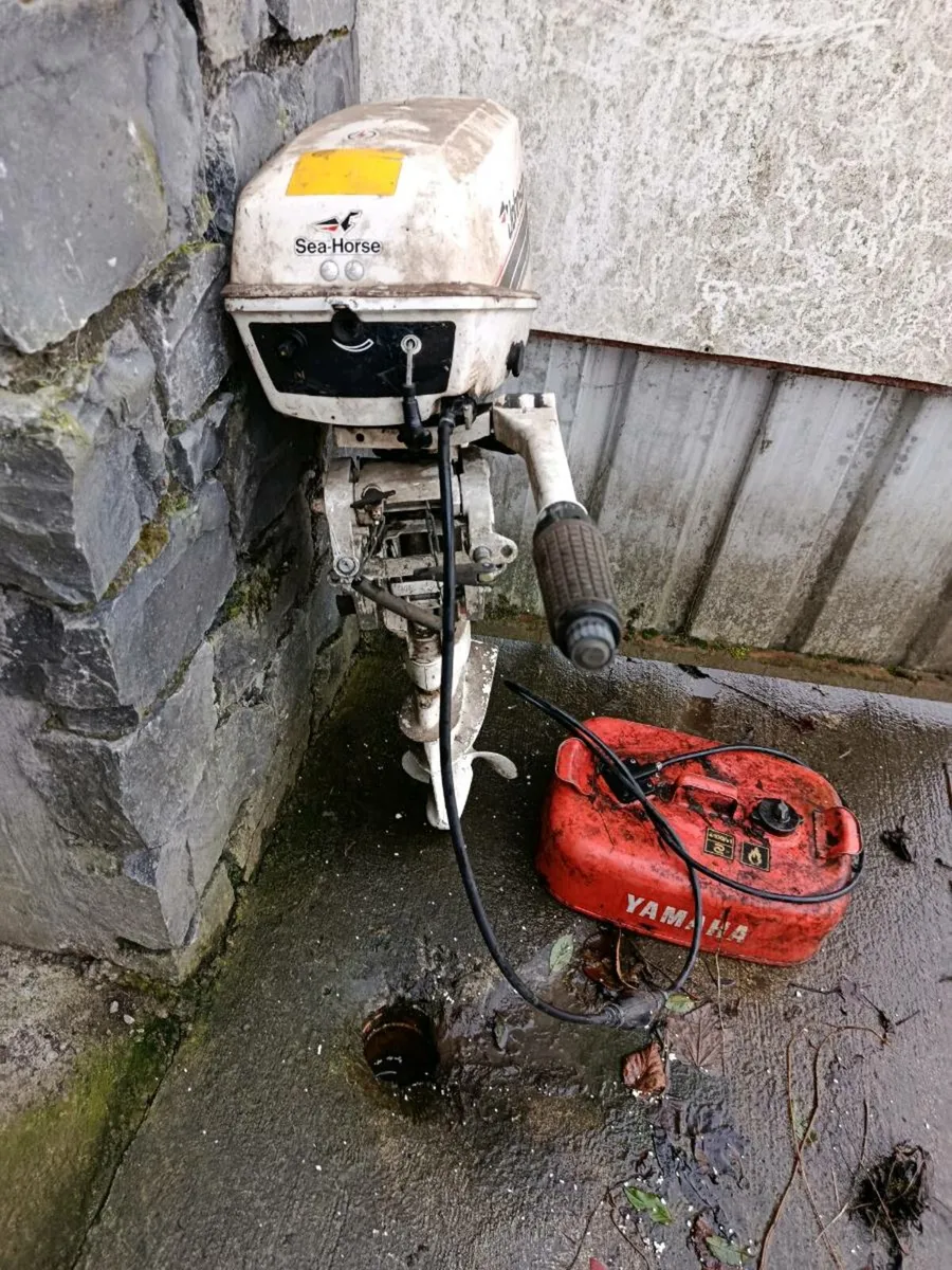 Outbound engine Johnson 8hp - Image 2