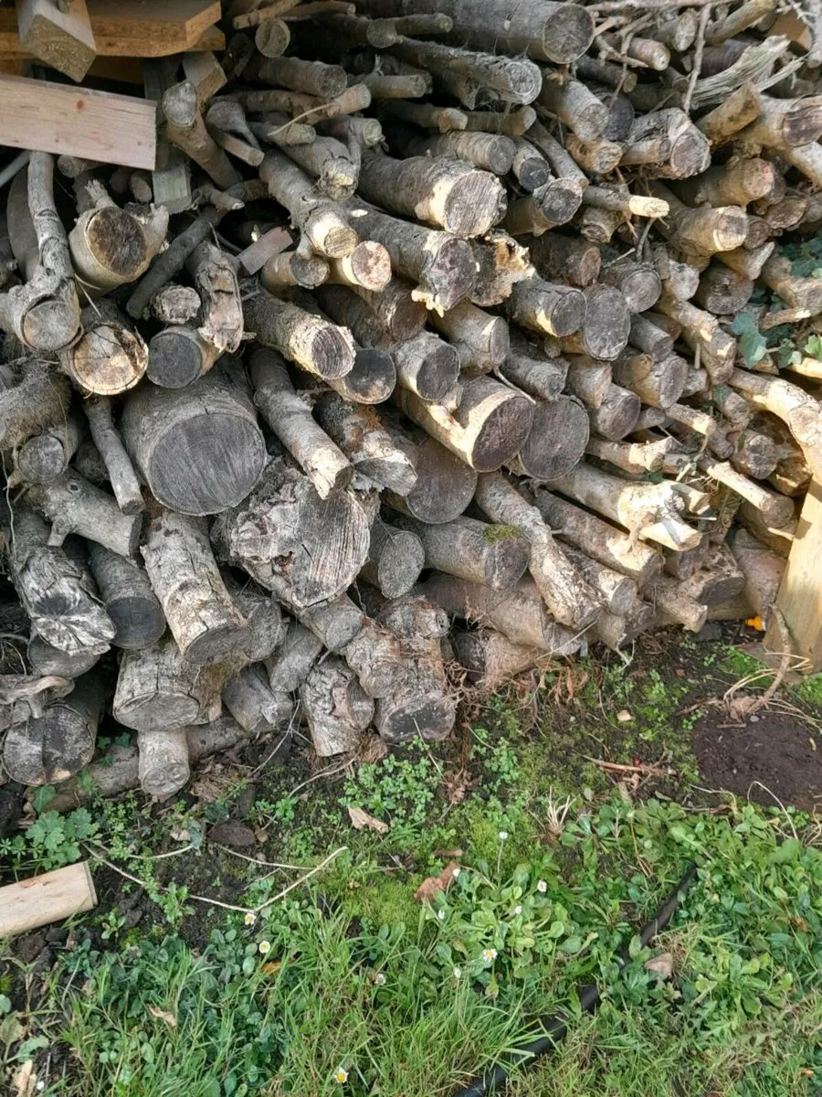 Fire wood/timber for sale - Image 1