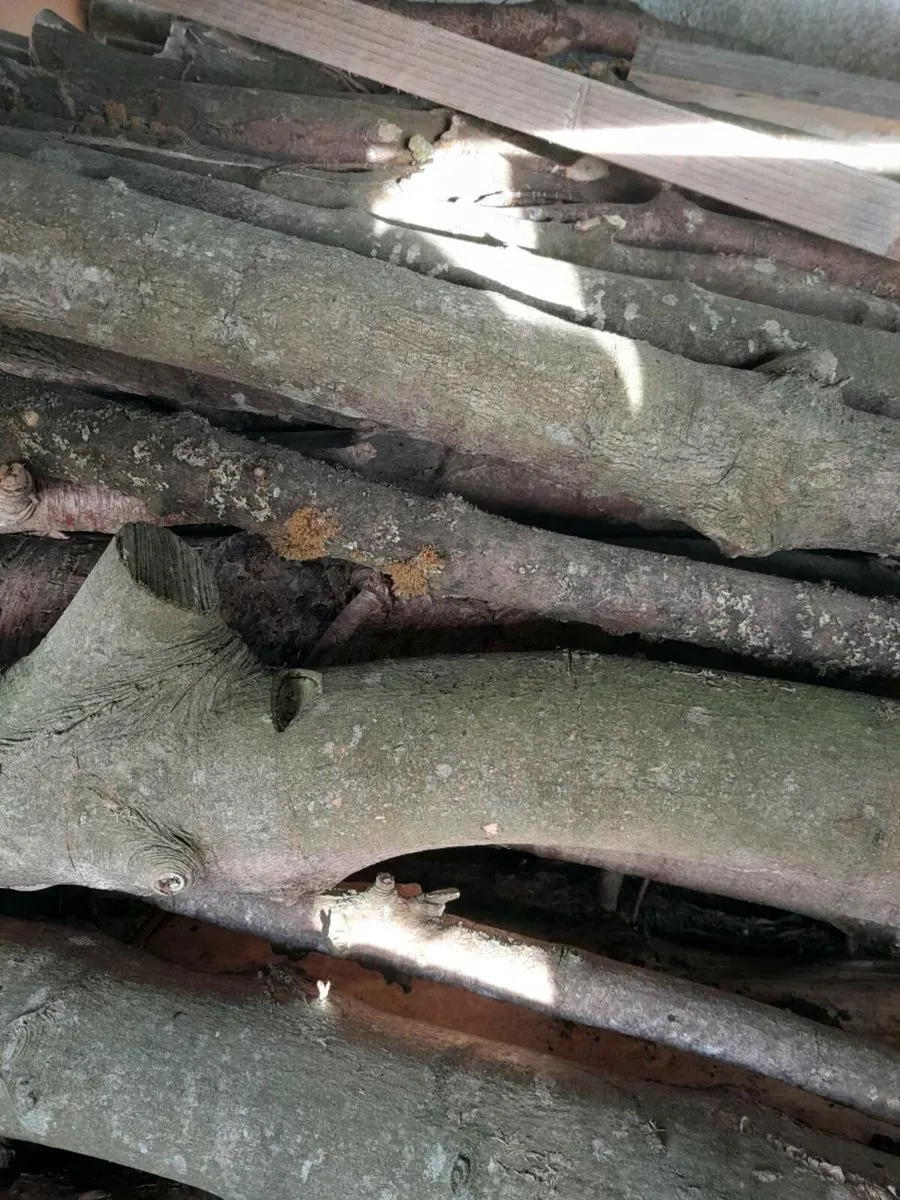 Fire wood/timber for sale - Image 2