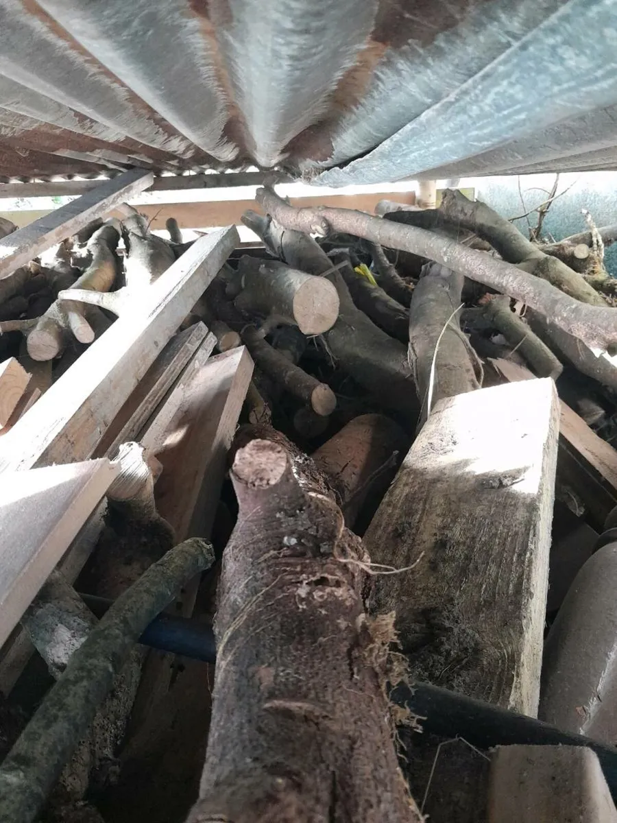 Fire wood/timber for sale - Image 3