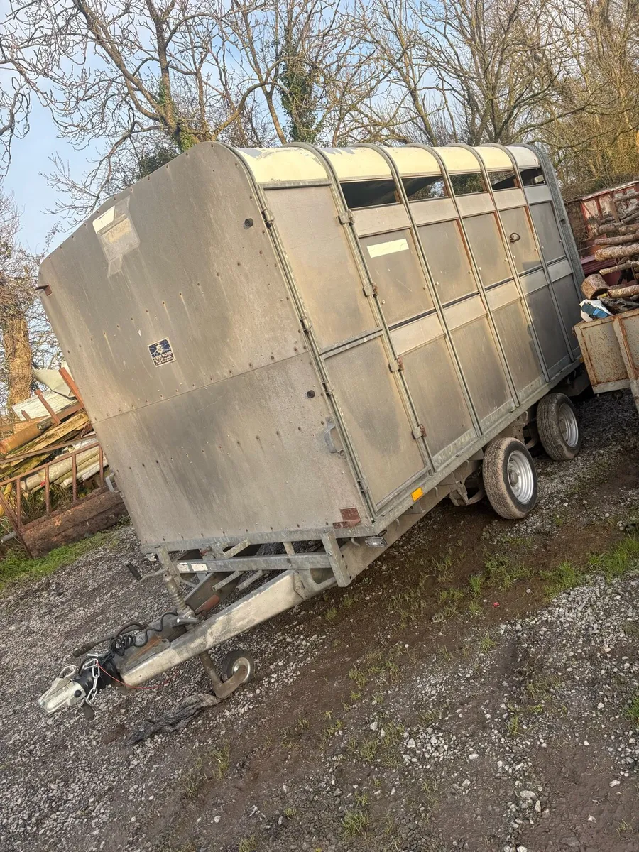 12ft ifor williams cattle trailer - Image 2