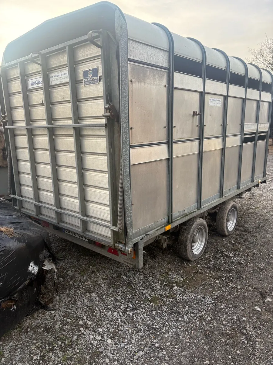 12ft ifor williams cattle trailer - Image 1