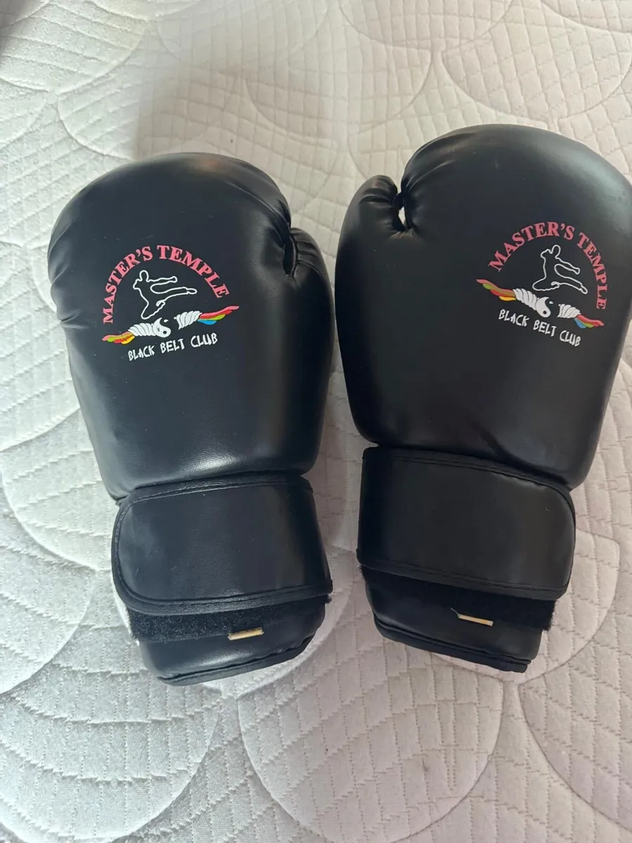 Boxing gloves - Image 2