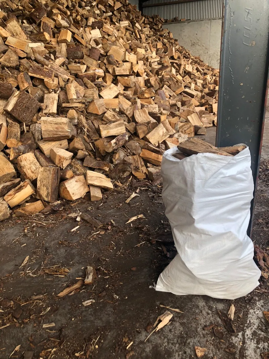 Firewood - Image 1