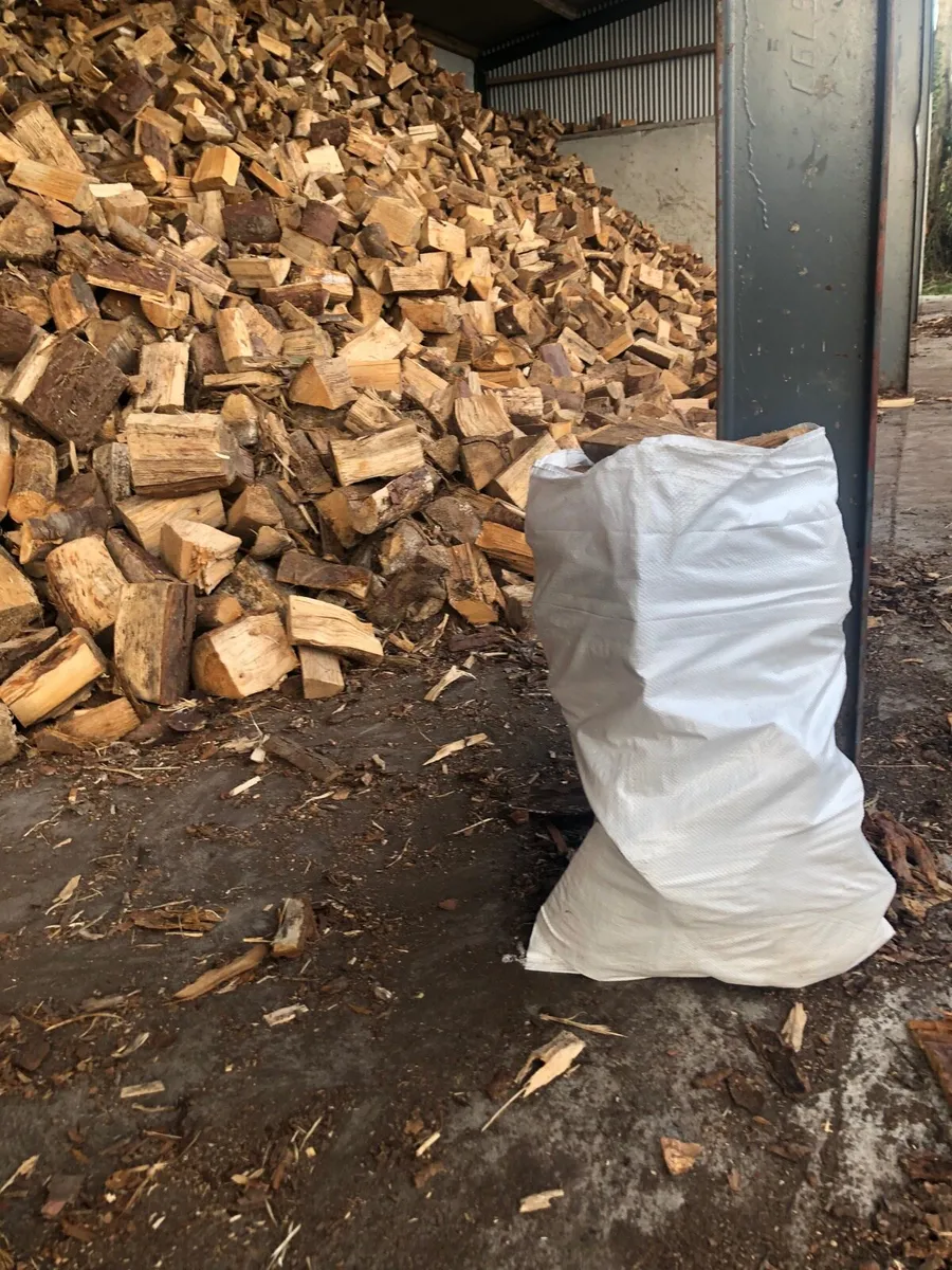 Firewood - Image 2