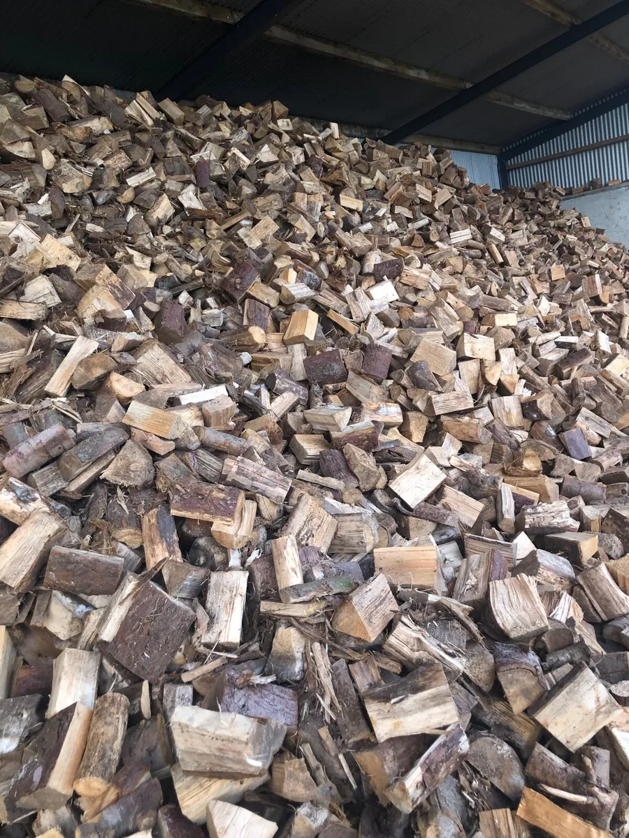 Firewood - Image 4