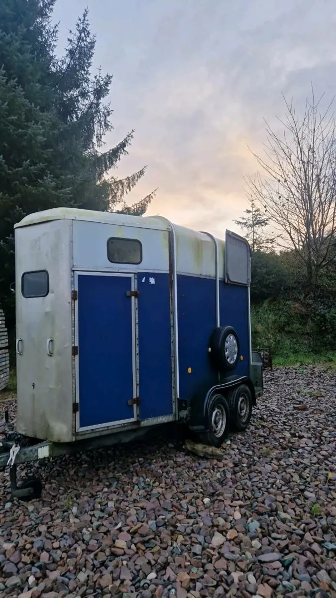 Ifor Williams 505 double horse box - Image 1