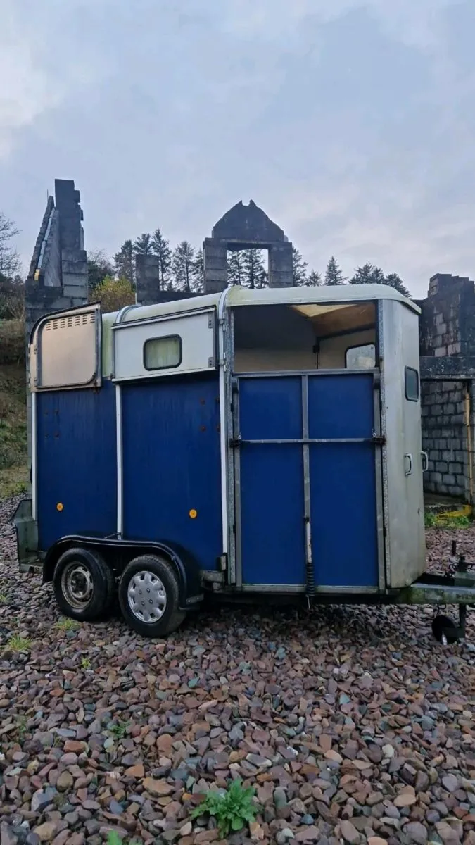 Ifor Williams 505 double horse box - Image 3
